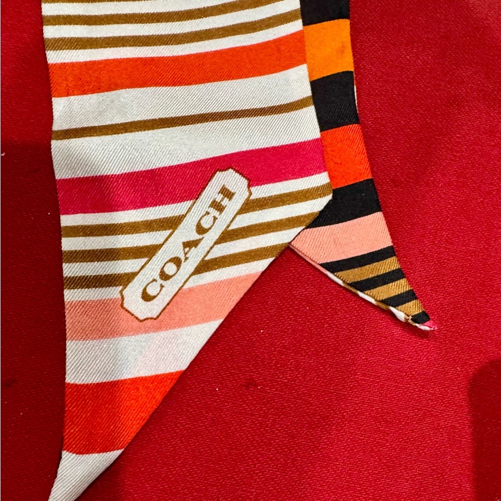Coach  Multicolor Striped accessories